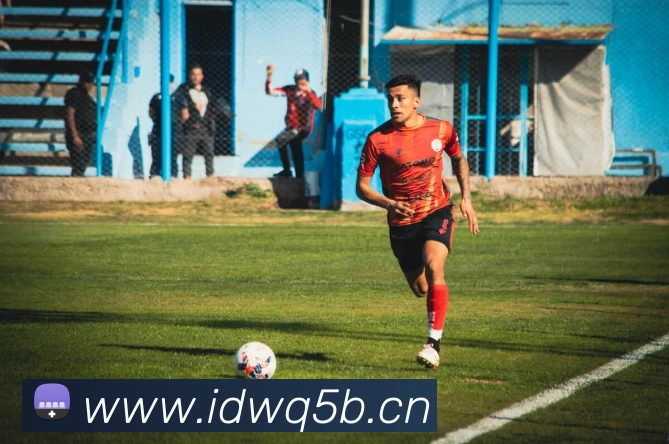 星空app官方登录入口APP 封面图